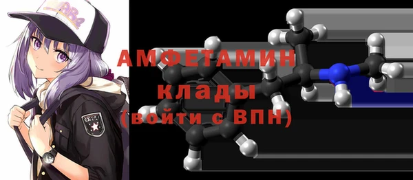 индика Ступино