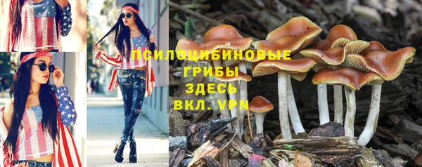 кокаин колумбия Тайга