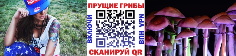 хочу   Северская  Псилоцибиновые грибы ЛСД 
